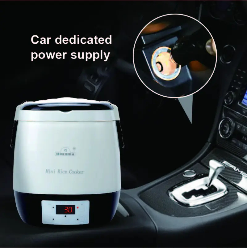 12 فولت/24 فولت/220 فولت سيارة - مراجعة Home Cooking Heater وسعره