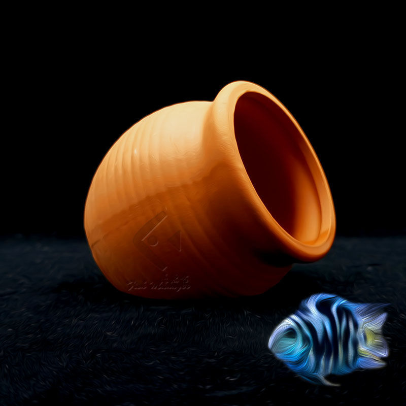 حوض السمك إصّيص سيراميك صغير ح - مراجعة Tagine Clay Pot وسعره